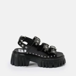 Buffalo Lion Hard -Buffalo Verkäufe 2017862 P7