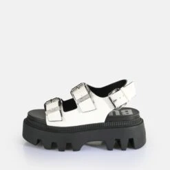 Neu eingetroffen 3 Buffalo Flora On