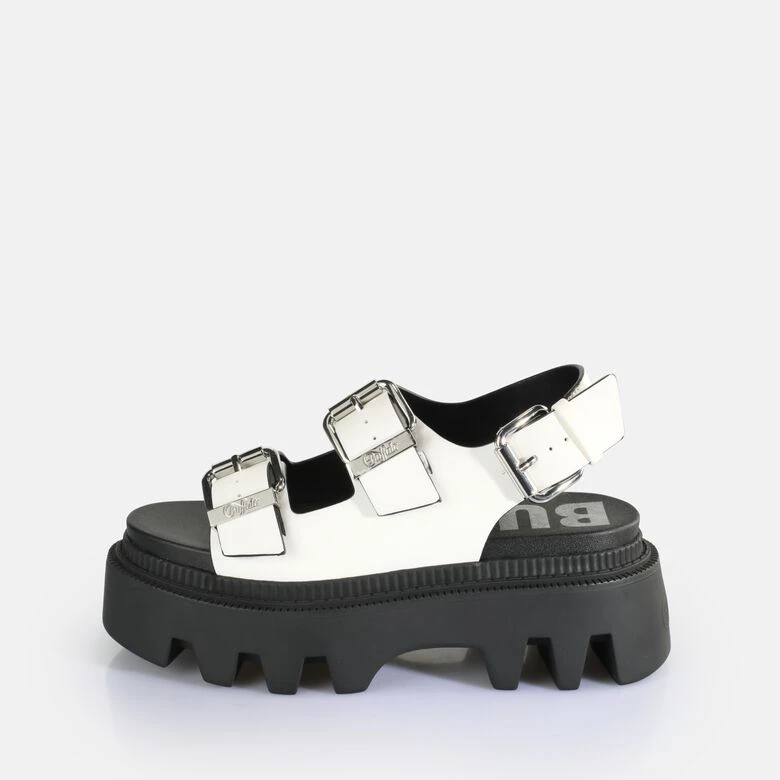 Buffalo Flora On 3 Buffalo Flora On