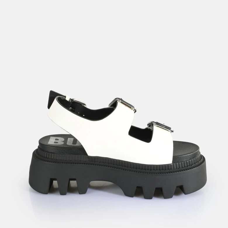 Buffalo Flora On 8 Buffalo Flora On – Bild 6