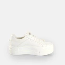 Buffalo Paired Dove 14 Buffalo Paired Dove -Buffalo Verkäufe 2177070 P6